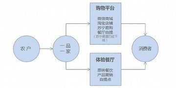 融资1000万,小农经济互联网 一品一家 能走多远